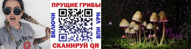 Псилоцибиновые грибы Psilocybine cubensis  Купить  Гурьевск 